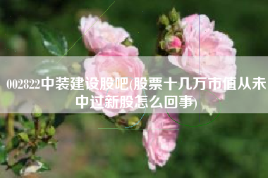 详细阅读:002822中装建设股吧(股票十几万市值从未中过新股怎么回事) 002822中装建设股吧(股票十几万市值从未中过新股怎么回事)