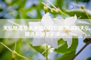 详细阅读:天弘精选基金净值今日价格(我买的天弘精选和国泰沪深300) 天弘精选基金净值今日价格(我买的天弘精选和国泰沪深300)
