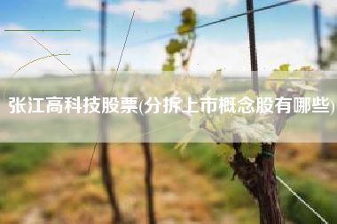 详细阅读:张江高科技股票(分拆上市概念股有哪些) 张江高科技股票(分拆上市概念股有哪些)