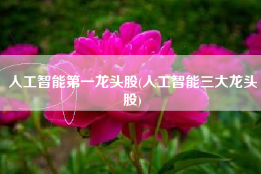 详细阅读:人工智能第一龙头股(人工智能三大龙头股) 人工智能第一龙头股(人工智能三大龙头股)