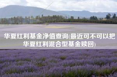 详细阅读:华夏红利基金净值查询(最近可不可以把华夏红利混合型基金赎回) 华夏红利基金净值查询(最近可不可以把华夏红利混合型基金赎回)