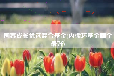 详细阅读:国泰成长优选混合基金(内循环基金哪个最好) 国泰成长优选混合基金(内循环基金哪个最好)