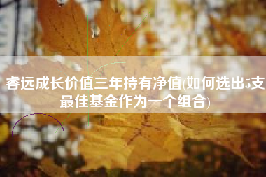 详细阅读:睿远成长价值三年持有净值(如何选出5支最佳基金作为一个组合) 睿远成长价值三年持有净值(如何选出5支最佳基金作为一个组合)