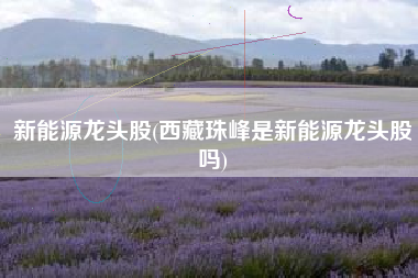 详细阅读:新能源龙头股(西藏珠峰是新能源龙头股吗) 新能源龙头股(西藏珠峰是新能源龙头股吗)