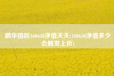 详细阅读:鹏华国防160630净值天天(160630净值多少会触发上折) 鹏华国防160630净值天天(160630净值多少会触发上折)