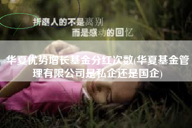 详细阅读:华夏优势增长基金分红次数(华夏基金管理有限公司是私企还是国企) 华夏优势增长基金分红次数(华夏基金管理有限公司是私企还是国企)