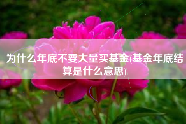 详细阅读:为什么年底不要大量买基金(基金年底结算是什么意思) 为什么年底不要大量买基金(基金年底结算是什么意思)