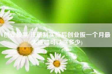 详细阅读:创业股票(注册制实施后创业扳一个月最大涨幅可以涨多少) 创业股票(注册制实施后创业扳一个月最大涨幅可以涨多少)