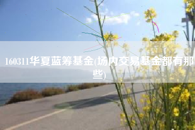 详细阅读:160311华夏蓝筹基金(场内交易基金都有那些) 160311华夏蓝筹基金(场内交易基金都有那些)