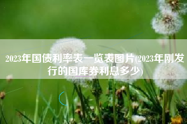 详细阅读:2023年国债利率表一览表图片(2023年刚发行的国库券利息多少) 2023年国债利率表一览表图片(2023年刚发行的国库券利息多少)
