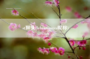 详细阅读:st狮头(lebronjames昵称) st狮头(lebronjames昵称)