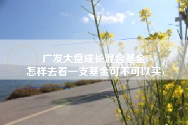 广发大盘成长混合基金(
怎样去看一支基金可不可以买) 广发大盘成长混合基金(
怎样去看一支基金可不可以买)