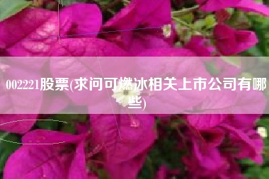 详细阅读:002221股票(求问可燃冰相关上市公司有哪些) 002221股票(求问可燃冰相关上市公司有哪些)