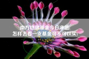 南方稳健基金今日净值(
怎样去看一支基金可不可以买)