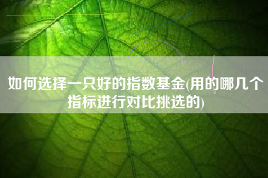 详细阅读:如何选择一只好的指数基金(用的哪几个指标进行对比挑选的) 如何选择一只好的指数基金(用的哪几个指标进行对比挑选的)