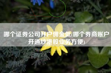 详细阅读:哪个证券公司开户佣金低(哪个券商账户开通炒港股业务方便) 哪个证券公司开户佣金低(哪个券商账户开通炒港股业务方便)