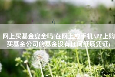 详细阅读:网上买基金安全吗(在网上或手机APP上购买基金公司的基金没有任何纸质凭证) 网上买基金安全吗(在网上或手机APP上购买基金公司的基金没有任何纸质凭证)