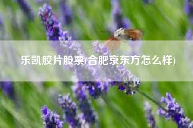 详细阅读:乐凯胶片股票(合肥京东方怎么样) 乐凯胶片股票(合肥京东方怎么样)