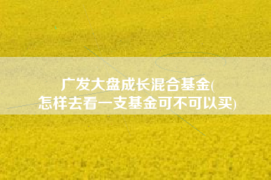 广发大盘成长混合基金(
怎样去看一支基金可不可以买) 广发大盘成长混合基金(
怎样去看一支基金可不可以买)