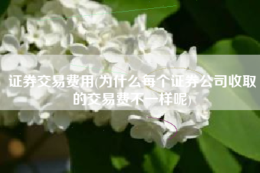 详细阅读:证券交易费用(为什么每个证券公司收取的交易费不一样呢) 证券交易费用(为什么每个证券公司收取的交易费不一样呢)