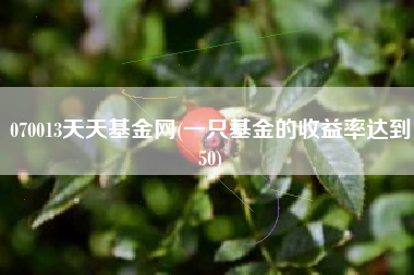 详细阅读:070013天天基金网(一只基金的收益率达到50) 070013天天基金网(一只基金的收益率达到50)
