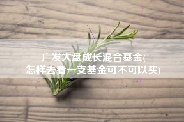 广发大盘成长混合基金(
怎样去看一支基金可不可以买) 广发大盘成长混合基金(
怎样去看一支基金可不可以买)