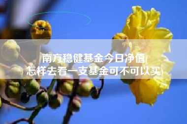 南方稳健基金今日净值(
怎样去看一支基金可不可以买)