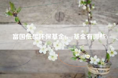 详细阅读:富国低碳环保基金(esg基金有哪些) 富国低碳环保基金(esg基金有哪些)
