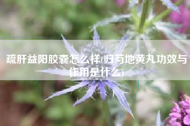 详细阅读:疏肝益阳胶囊怎么样(归芍地黄丸功效与作用是什么) 疏肝益阳胶囊怎么样(归芍地黄丸功效与作用是什么)