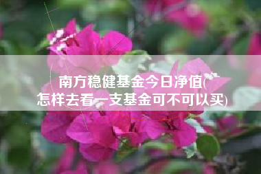 南方稳健基金今日净值(
怎样去看一支基金可不可以买)