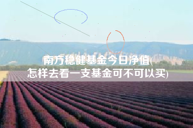 南方稳健基金今日净值(
怎样去看一支基金可不可以买)