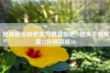 详细阅读:包钢股份股吧东方财富股吧(3倍大牛股尾盘12分钟闪崩20) 包钢股份股吧东方财富股吧(3倍大牛股尾盘12分钟闪崩20)