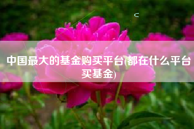 详细阅读:中国最大的基金购买平台(都在什么平台买基金) 中国最大的基金购买平台(都在什么平台买基金)