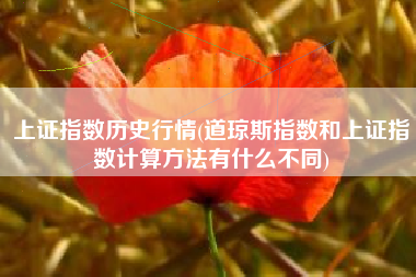 详细阅读:上证指数历史行情(道琼斯指数和上证指数计算方法有什么不同) 上证指数历史行情(道琼斯指数和上证指数计算方法有什么不同)