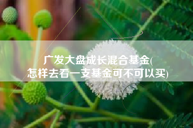 广发大盘成长混合基金(
怎样去看一支基金可不可以买) 广发大盘成长混合基金(
怎样去看一支基金可不可以买)