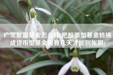 详细阅读:广发聚富基金怎么样(把股票型基金转换成货币型基金需要几天才能到帐啊) 广发聚富基金怎么样(把股票型基金转换成货币型基金需要几天才能到帐啊)