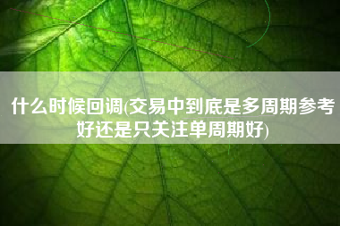 详细阅读:什么时候回调(交易中到底是多周期参考好还是只关注单周期好) 什么时候回调(交易中到底是多周期参考好还是只关注单周期好)