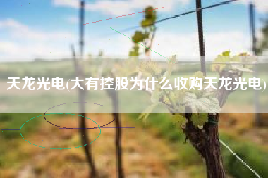 详细阅读:天龙光电(大有控股为什么收购天龙光电) 天龙光电(大有控股为什么收购天龙光电)