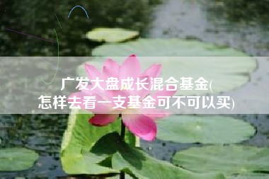 广发大盘成长混合基金(
怎样去看一支基金可不可以买) 广发大盘成长混合基金(
怎样去看一支基金可不可以买)