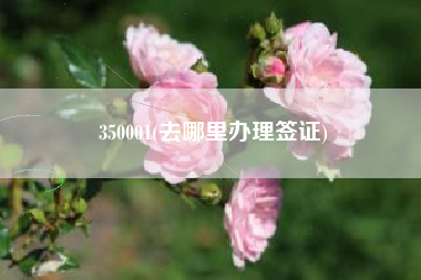 详细阅读:350001(去哪里办理签证) 350001(去哪里办理签证)