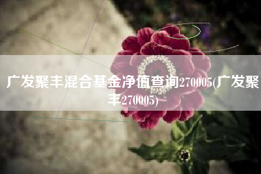 详细阅读:广发聚丰混合基金净值查询270005(广发聚丰270005) 广发聚丰混合基金净值查询270005(广发聚丰270005)