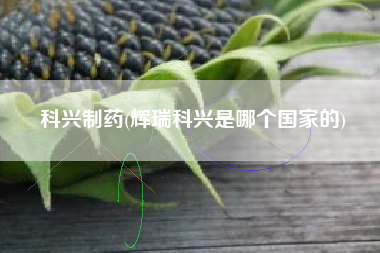 详细阅读:科兴制药(辉瑞科兴是哪个国家的) 科兴制药(辉瑞科兴是哪个国家的)