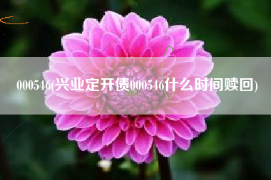 详细阅读:000546(兴业定开债000546什么时间赎回) 000546(兴业定开债000546什么时间赎回)