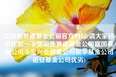 详细阅读:交银施罗德基金公司官方网站(请大家评价比较一下交银施罗德基金公司富国基金公司华宝兴业基金公司银华基金公司诺安基金公司优劣) 交银施罗德基金公司官方网站(请大家评价比较一下交银施罗德基金公司富国基金公司华宝兴业基金公司银华基金公司诺安基金公司优劣)