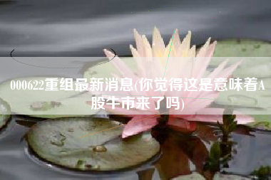 详细阅读:000622重组最新消息(你觉得这是意味着A股牛市来了吗) 000622重组最新消息(你觉得这是意味着A股牛市来了吗)