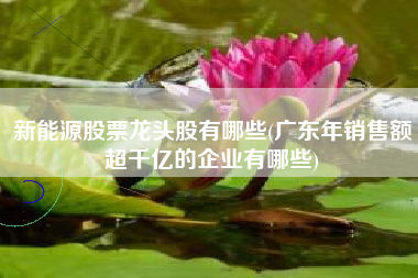详细阅读:新能源股票龙头股有哪些(广东年销售额超千亿的企业有哪些) 新能源股票龙头股有哪些(广东年销售额超千亿的企业有哪些)