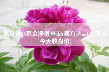 详细阅读:易方达50基金净值查询(易方达oo1475基金今天收盘价) 易方达50基金净值查询(易方达oo1475基金今天收盘价)