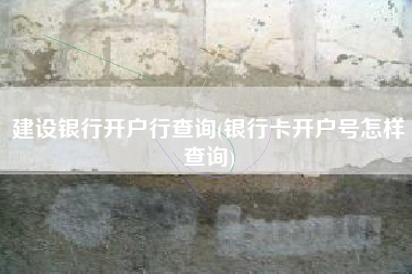 详细阅读:建设银行开户行查询(银行卡开户号怎样查询) 建设银行开户行查询(银行卡开户号怎样查询)