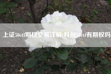 详细阅读:上证50etf期权交易详解(科创50etf有期权吗) 上证50etf期权交易详解(科创50etf有期权吗)