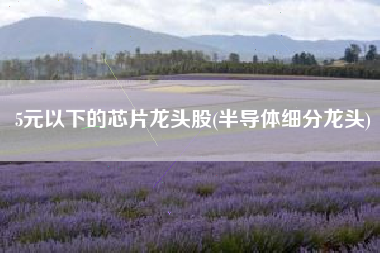 详细阅读:5元以下的芯片龙头股(半导体细分龙头) 5元以下的芯片龙头股(半导体细分龙头)